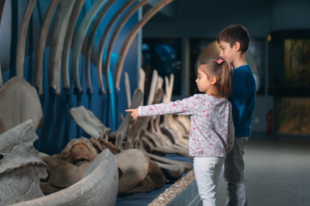 Kinder beim Museumsbesuch